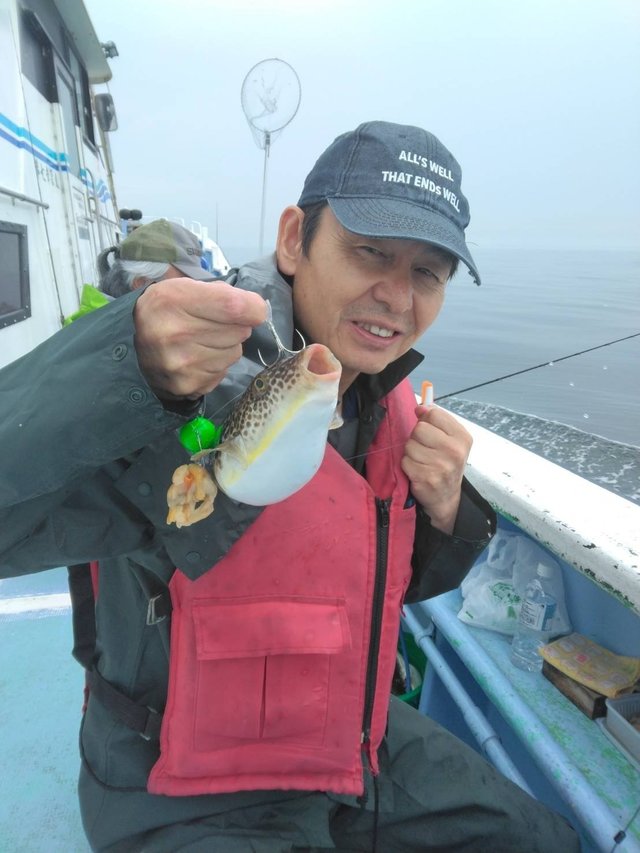 ショウサイフグ