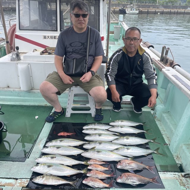 マダイ・マアジ・ハマチ(ブリ)