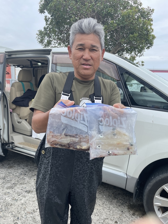 マルイカ(ケンサキイカ)