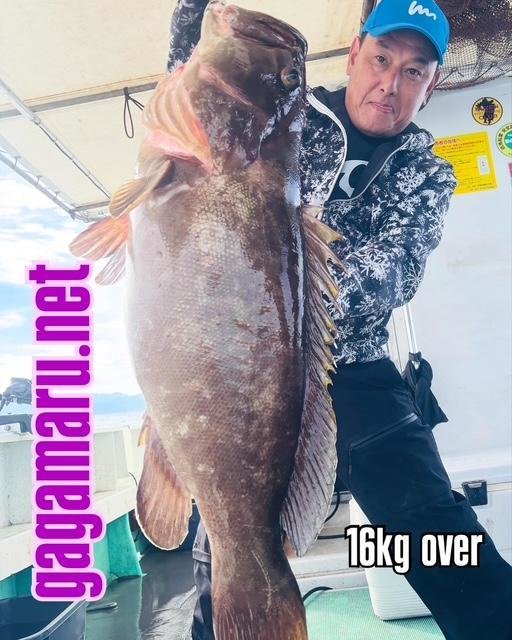 タカバ(マハタ)