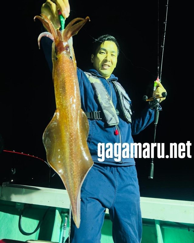 ケンサキ(ケンサキイカ)