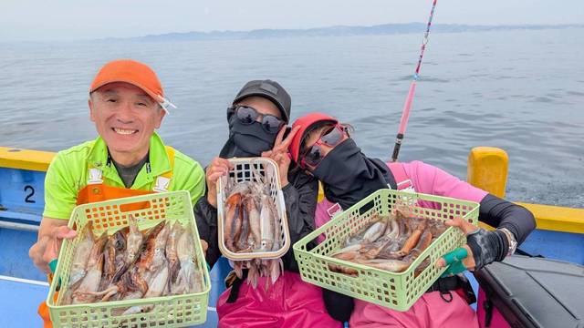 ムギイカ(スルメイカ)