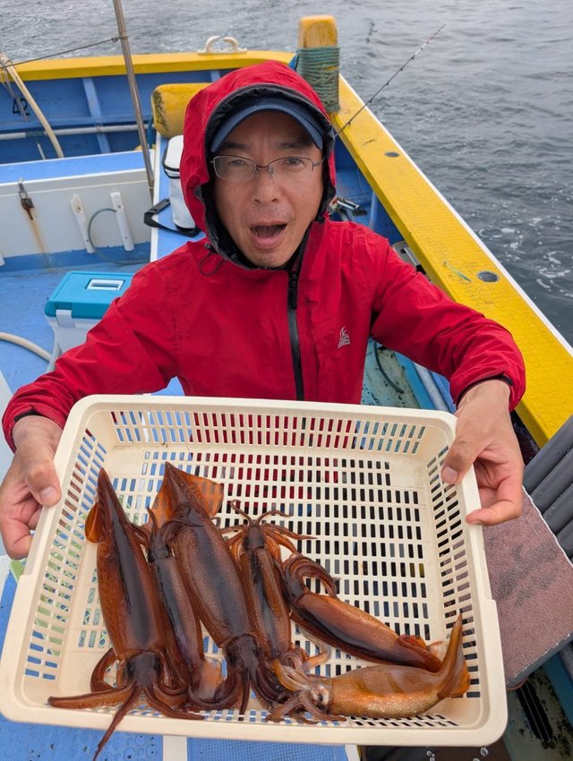 ムギイカ(スルメイカ)