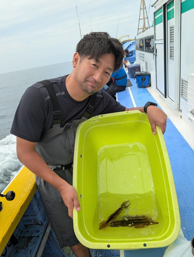 ムギイカ(スルメイカ)