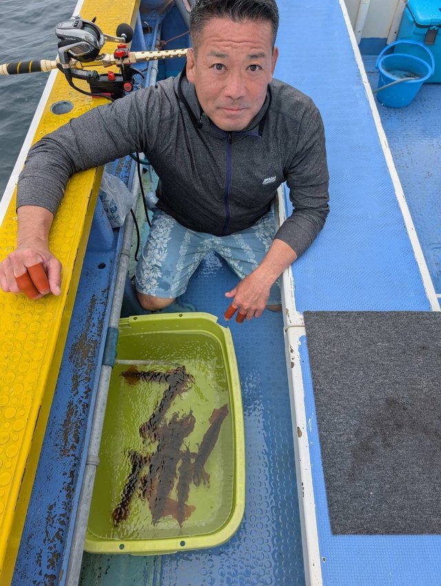 ムギイカ(スルメイカ)