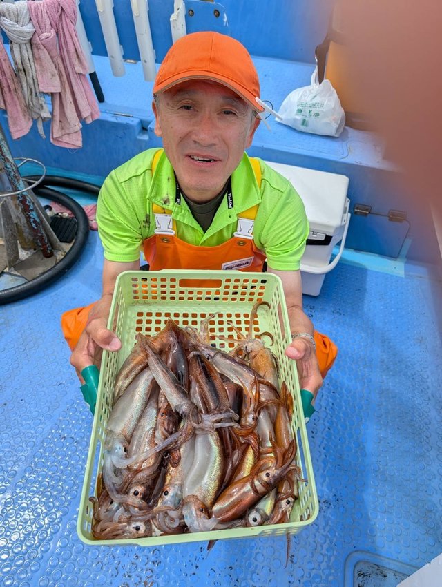 ムギイカ(スルメイカ)