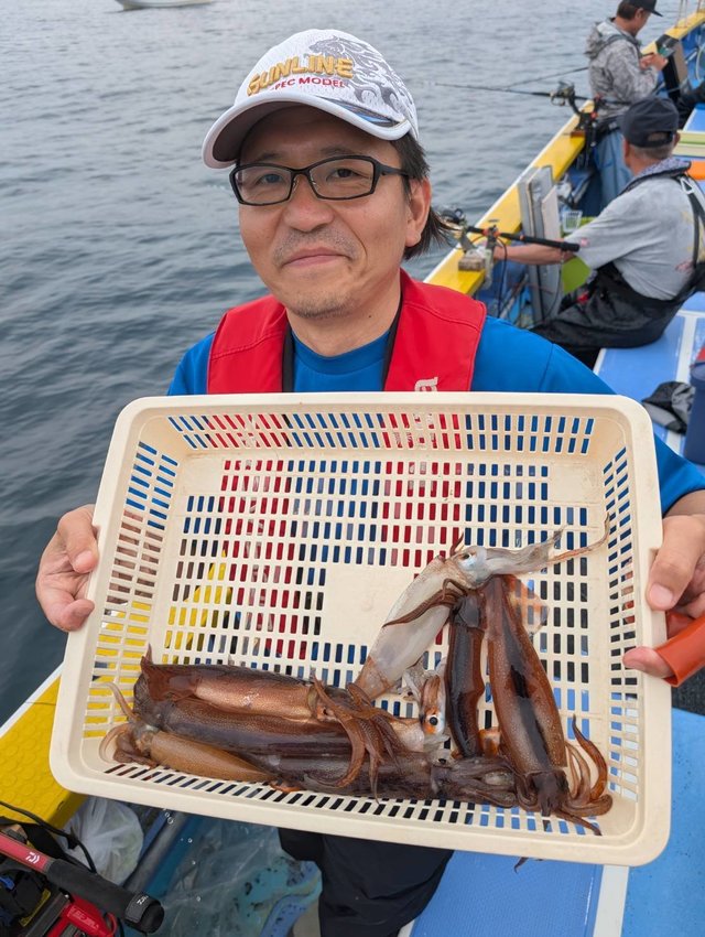 ムギイカ(スルメイカ)