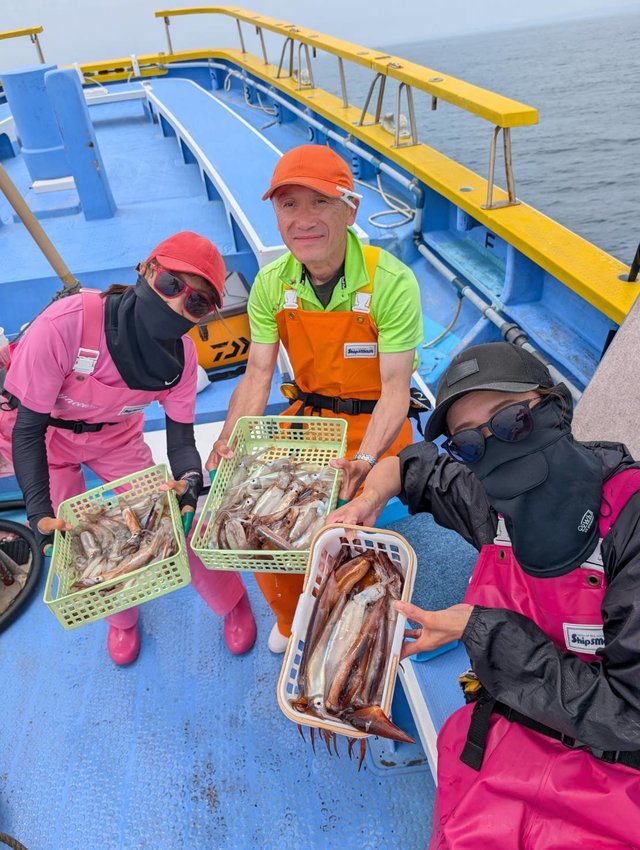 ムギイカ(スルメイカ)