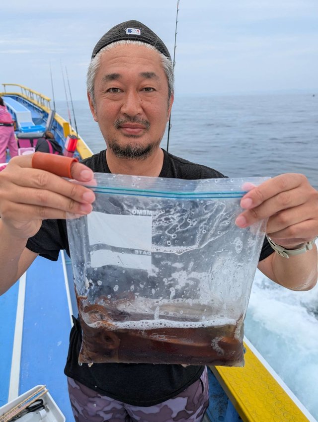 ムギイカ(スルメイカ)