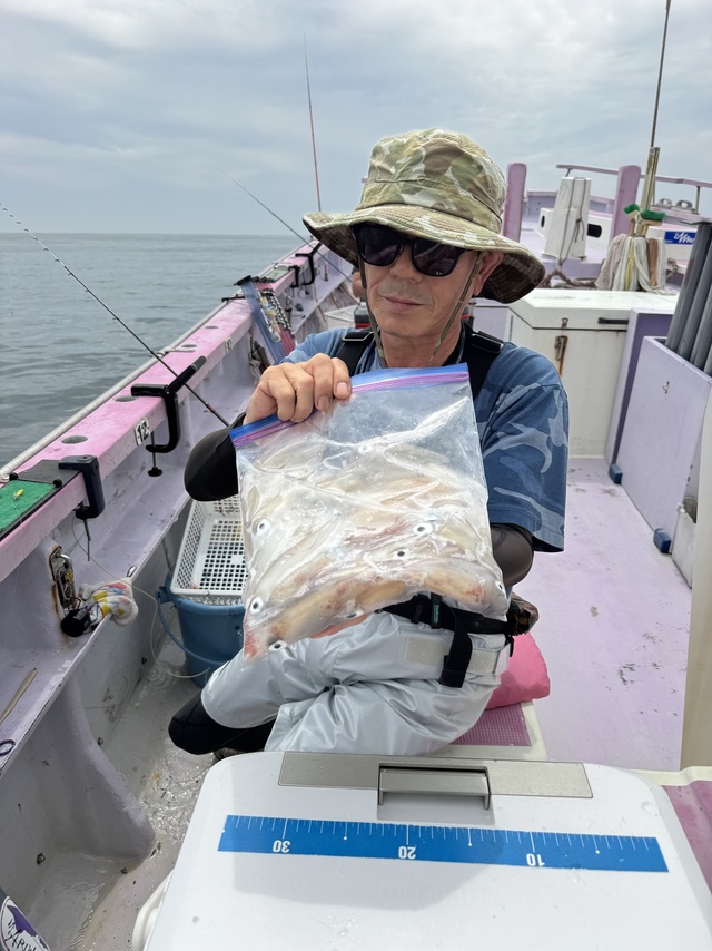 マルイカ(ケンサキイカ)