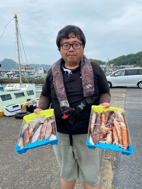 ムギイカ(スルメイカ)