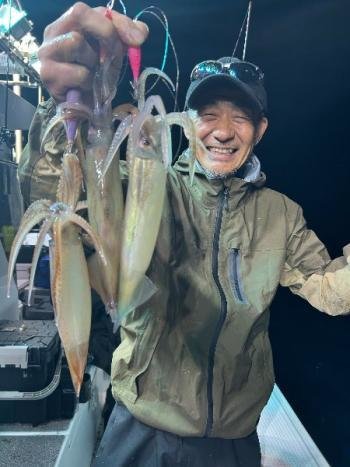 マイカ(ケンサキイカ)