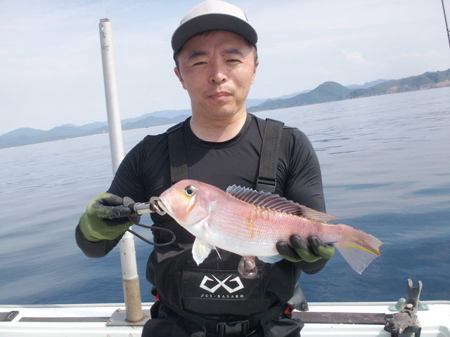 アマダイ(アカアマダイ)