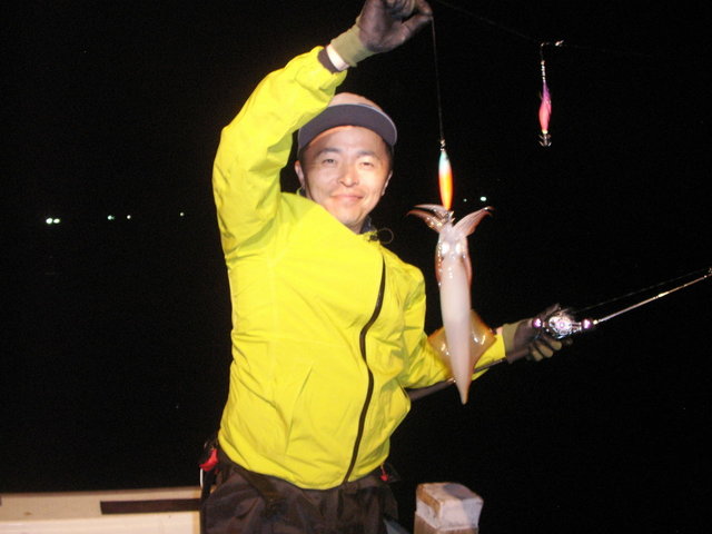 スルメ(スルメイカ)