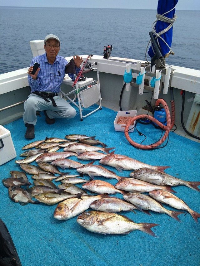 マダイ・イサキ・ウマヅラ(ウマヅラハギ)