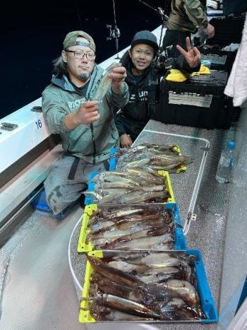 スルメイカ・マイカ(ケンサキイカ)