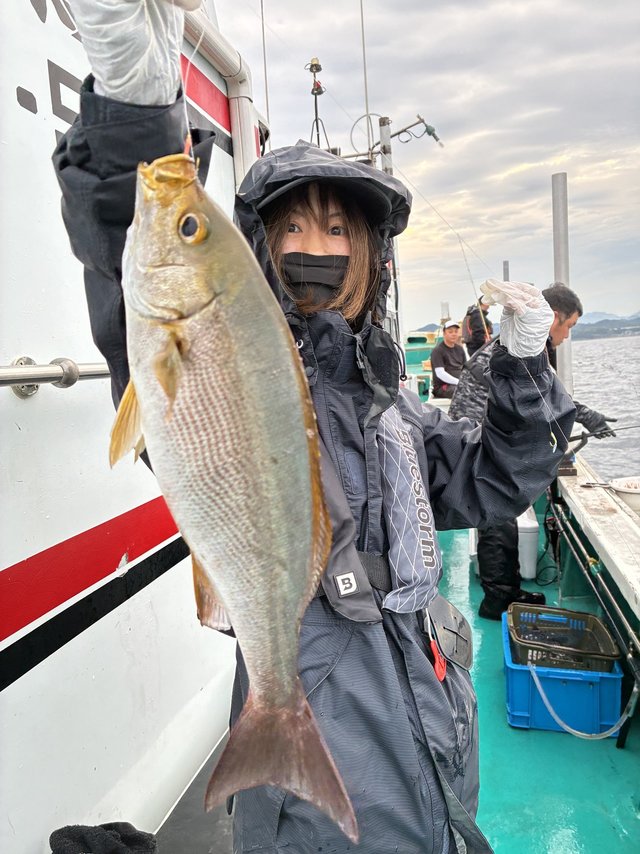 イサギ(イサキ)