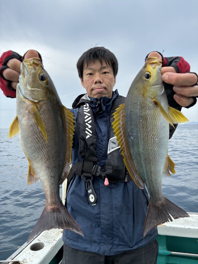 イサギ(イサキ)