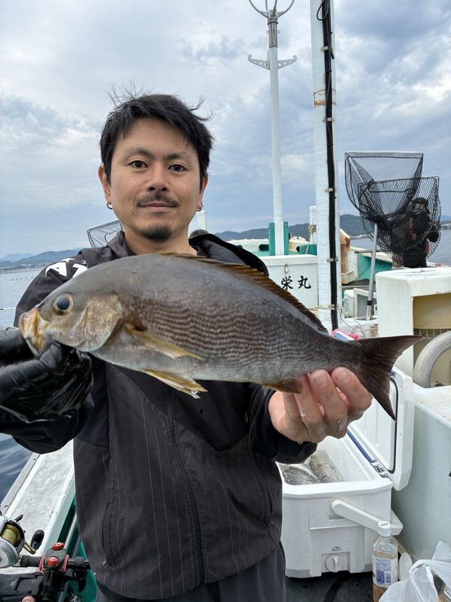 イサギ(イサキ)