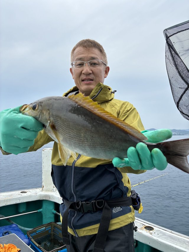 イサギ(イサキ)