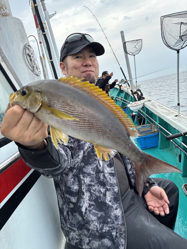 イサギ(イサキ)