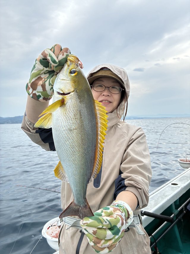 イサギ(イサキ)