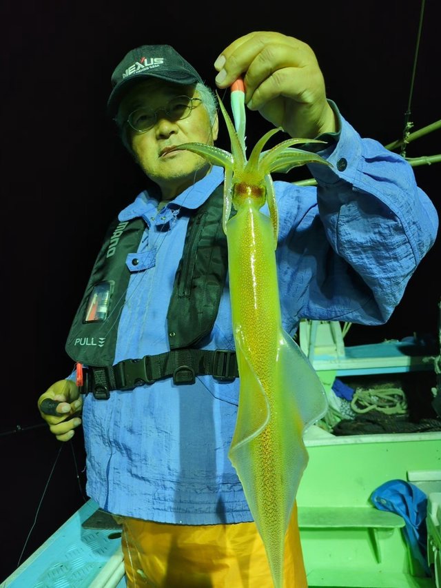 イカ(ケンサキイカ)