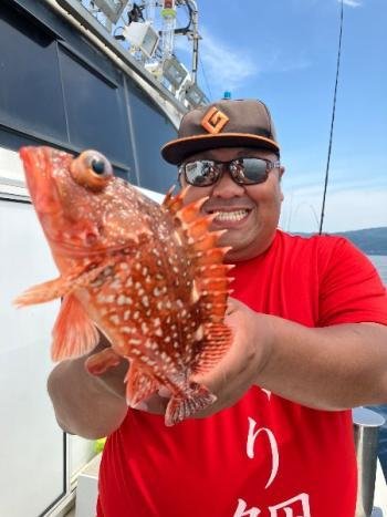 ウッカリカサゴ