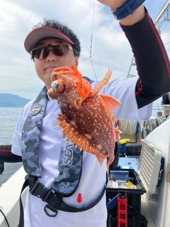 ウッカリカサゴ