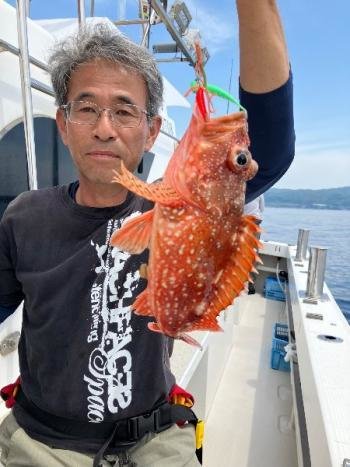 ウッカリカサゴ