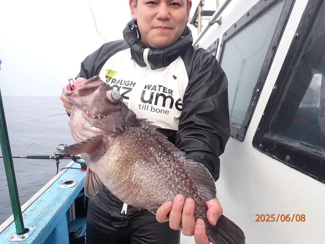 マゾイ(キツネメバル)