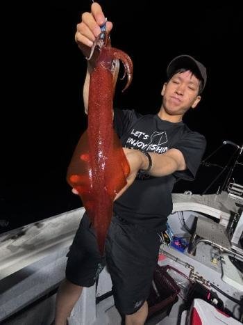 マイカ(ケンサキイカ)