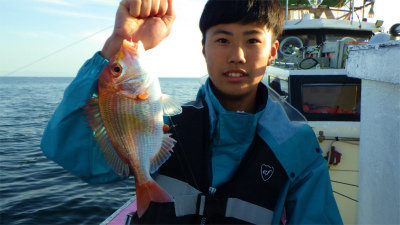 レンコダイ(キダイ)