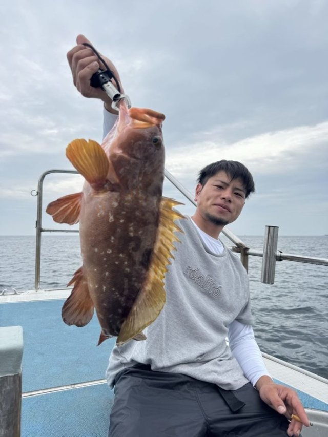 アコウ(キジハタ)