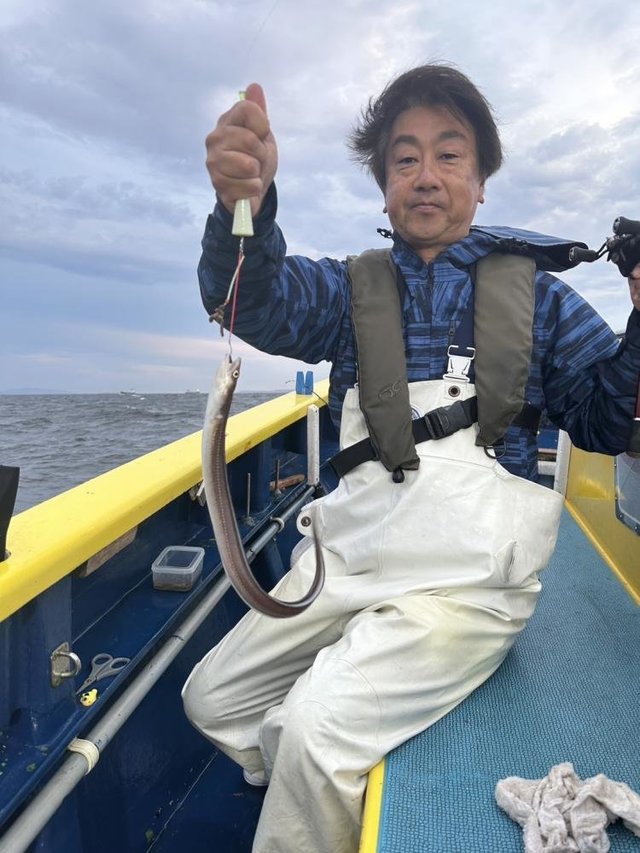 アナゴ(マアナゴ)