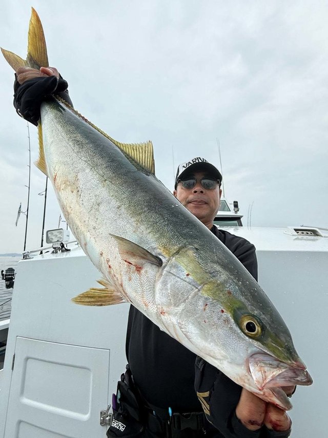 サンパク(ブリ)