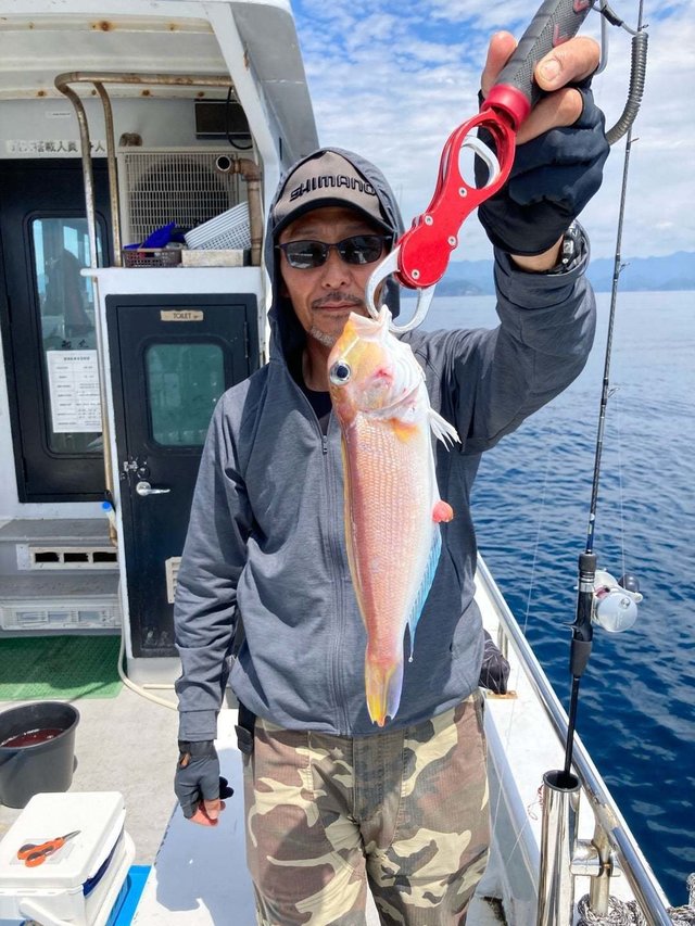 アマダイ(アカアマダイ)