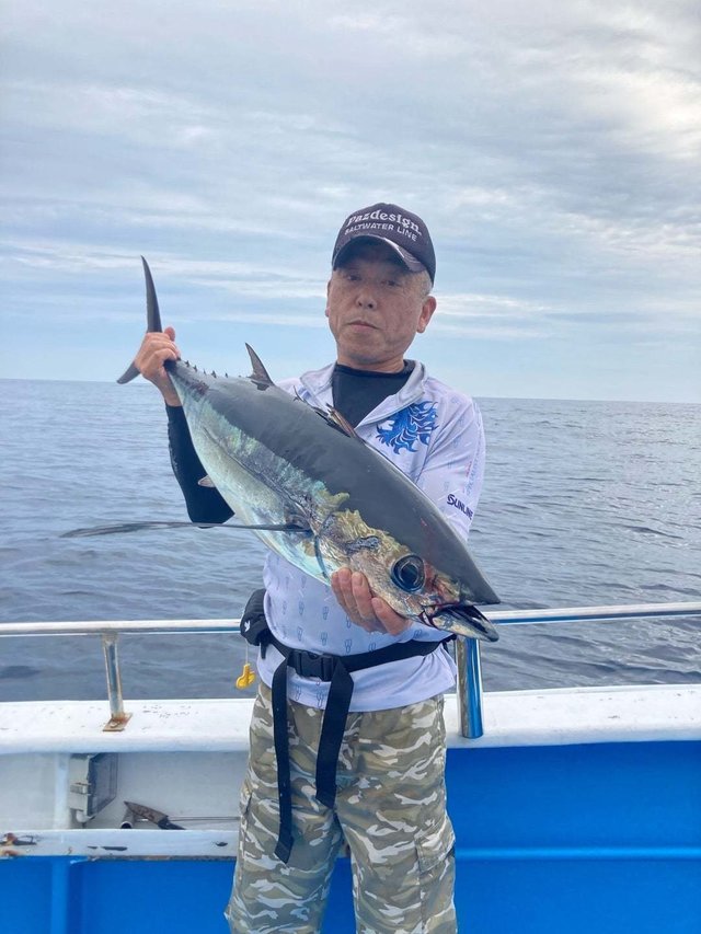 マグロ(クロマグロ)