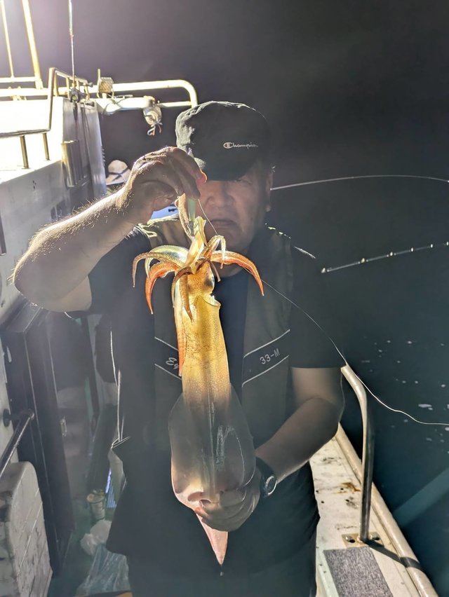 イカ(ケンサキイカ)