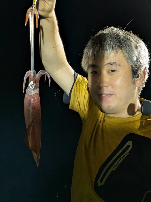 イカ(ケンサキイカ)