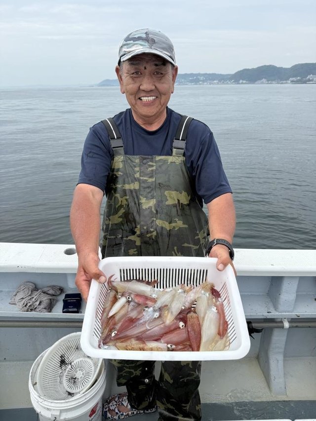 マルイカ(ケンサキイカ)