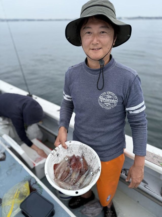 マルイカ(ケンサキイカ)