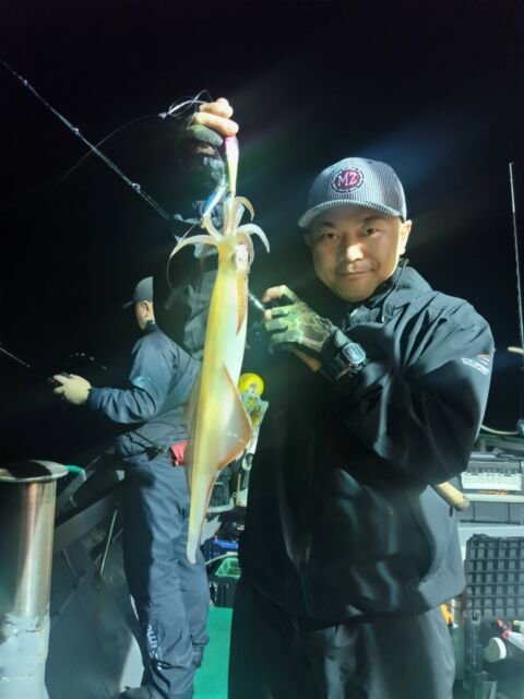 イカ(ヤリイカ)