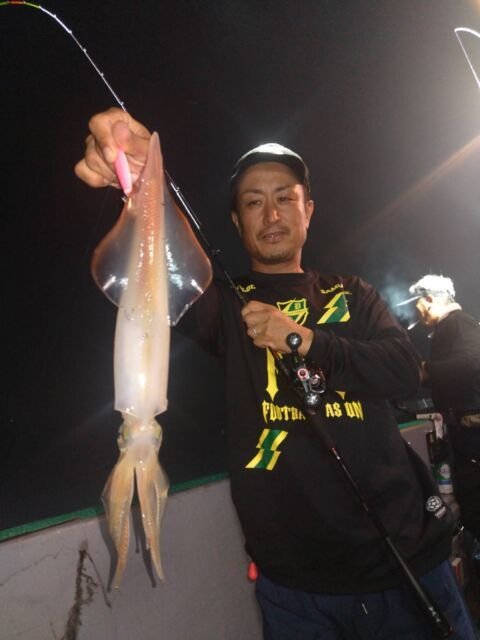 イカ(ヤリイカ)