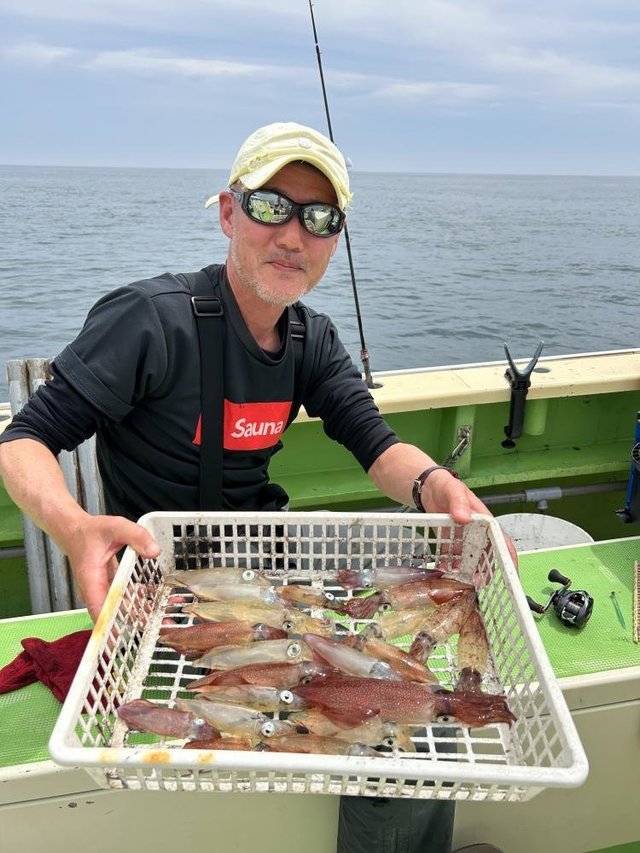 マルイカ(ケンサキイカ)