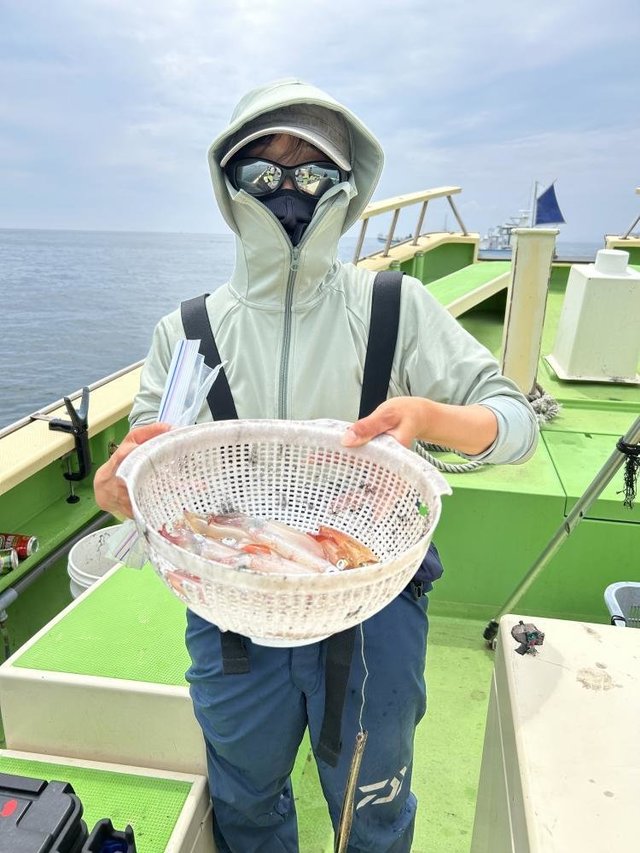 マルイカ(ケンサキイカ)