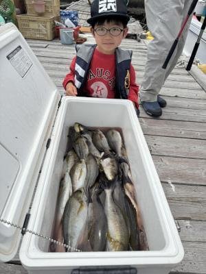 イサギ(イサキ)