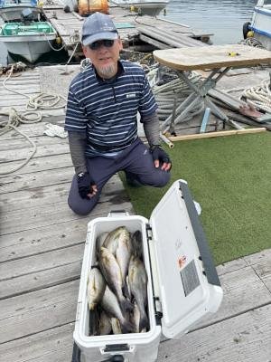 イサギ(イサキ)