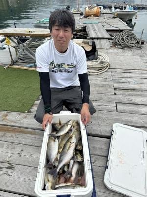 イサギ(イサキ)