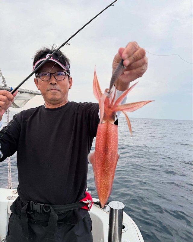 ケンサキ(ケンサキイカ)